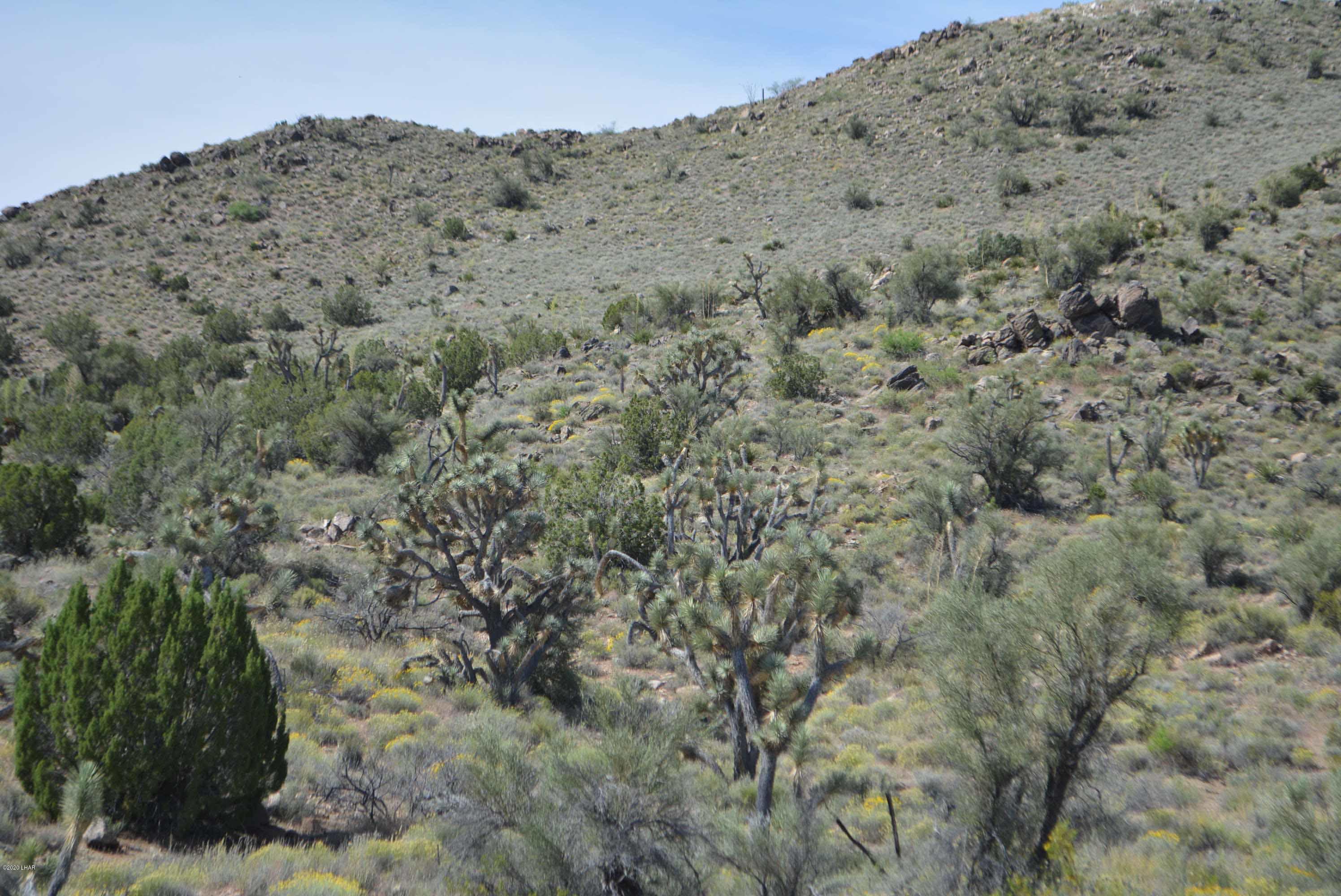 Lot 2396 Appaloosa Road Yucca, AZ 86438 - Photo 6 of 48 DSC_0718