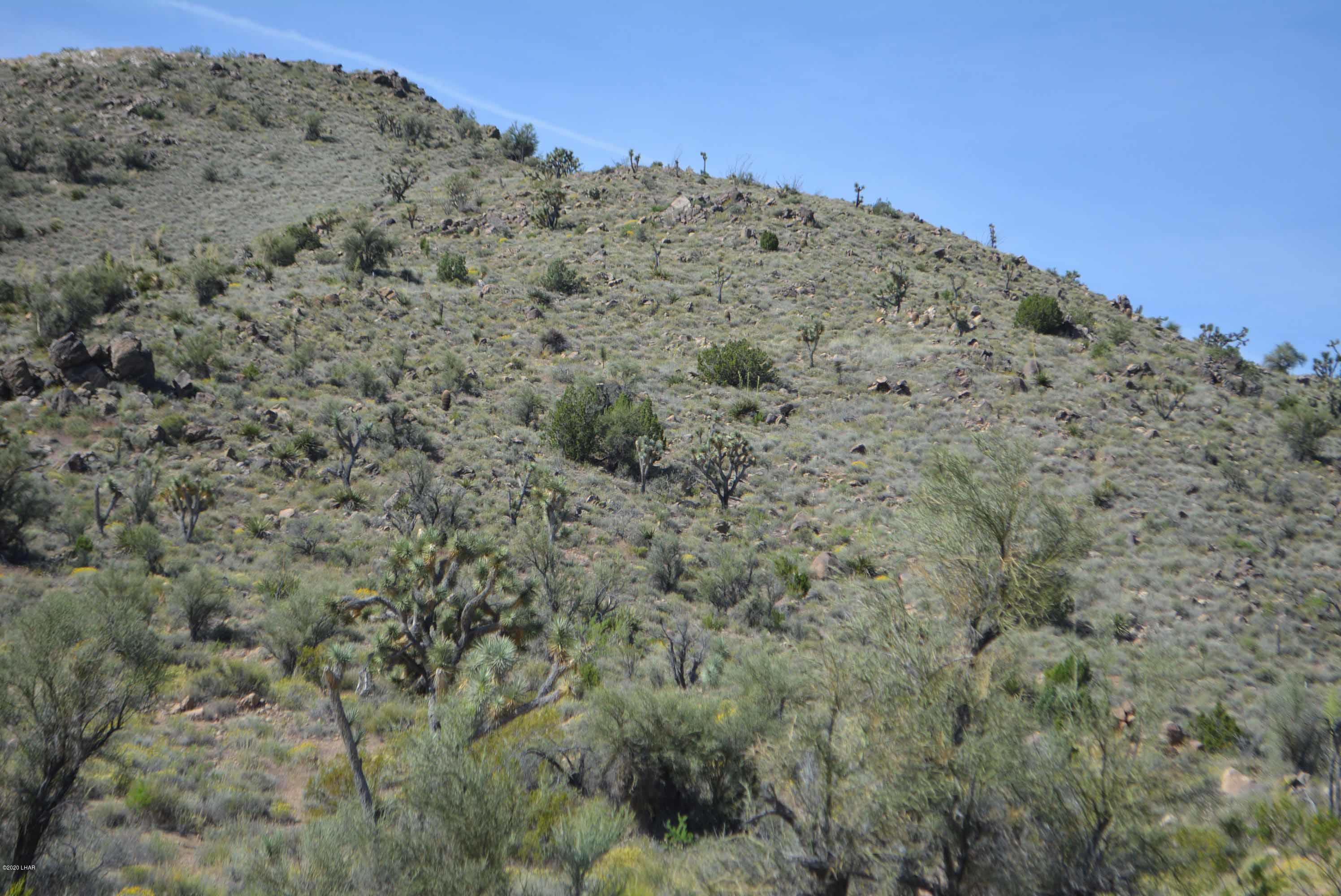 Lot 2396 Appaloosa Road Yucca, AZ 86438 - Photo 7 of 48 DSC_0719