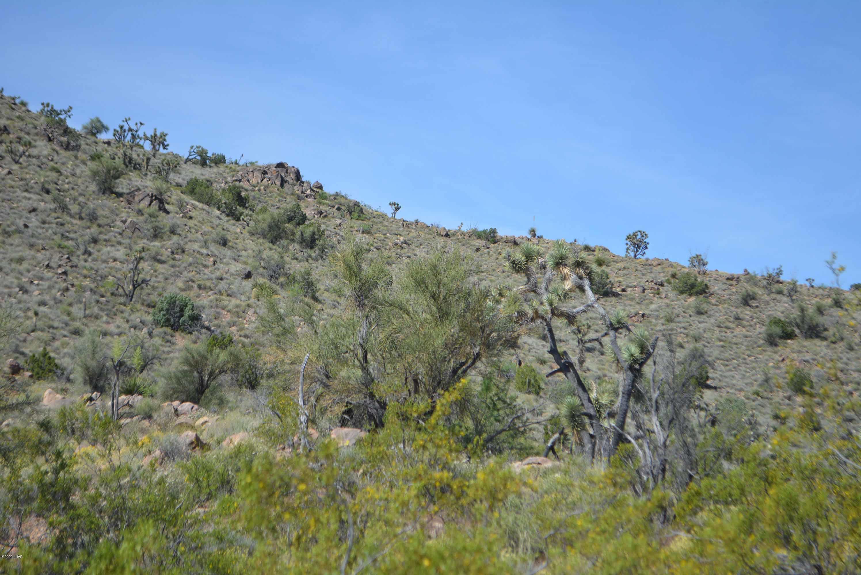 Lot 2396 Appaloosa Road Yucca, AZ 86438 - Photo 8 of 48 DSC_0720