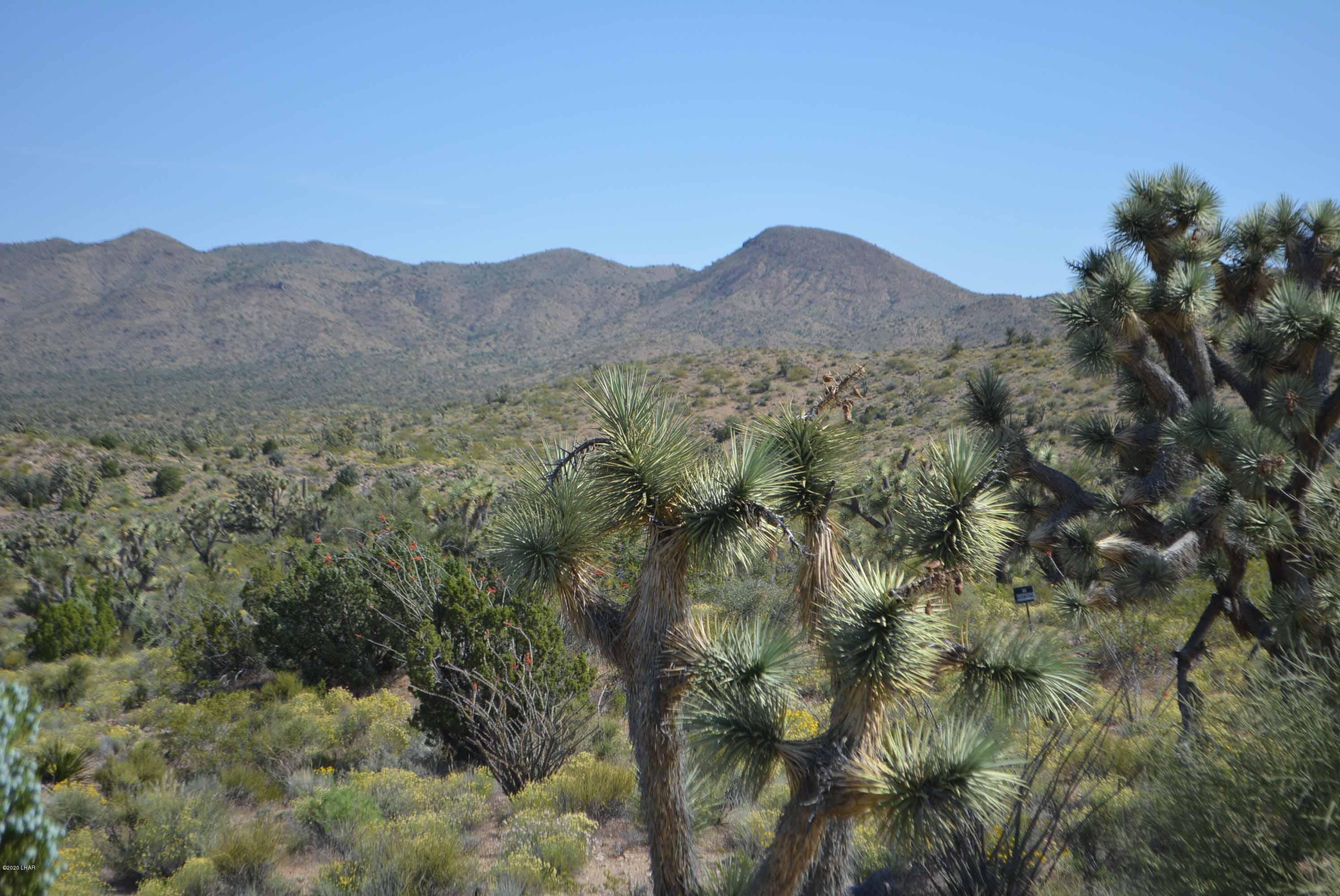 Lot 2396 Appaloosa Road Yucca, AZ 86438 - Photo 9 of 48 DSC_0721