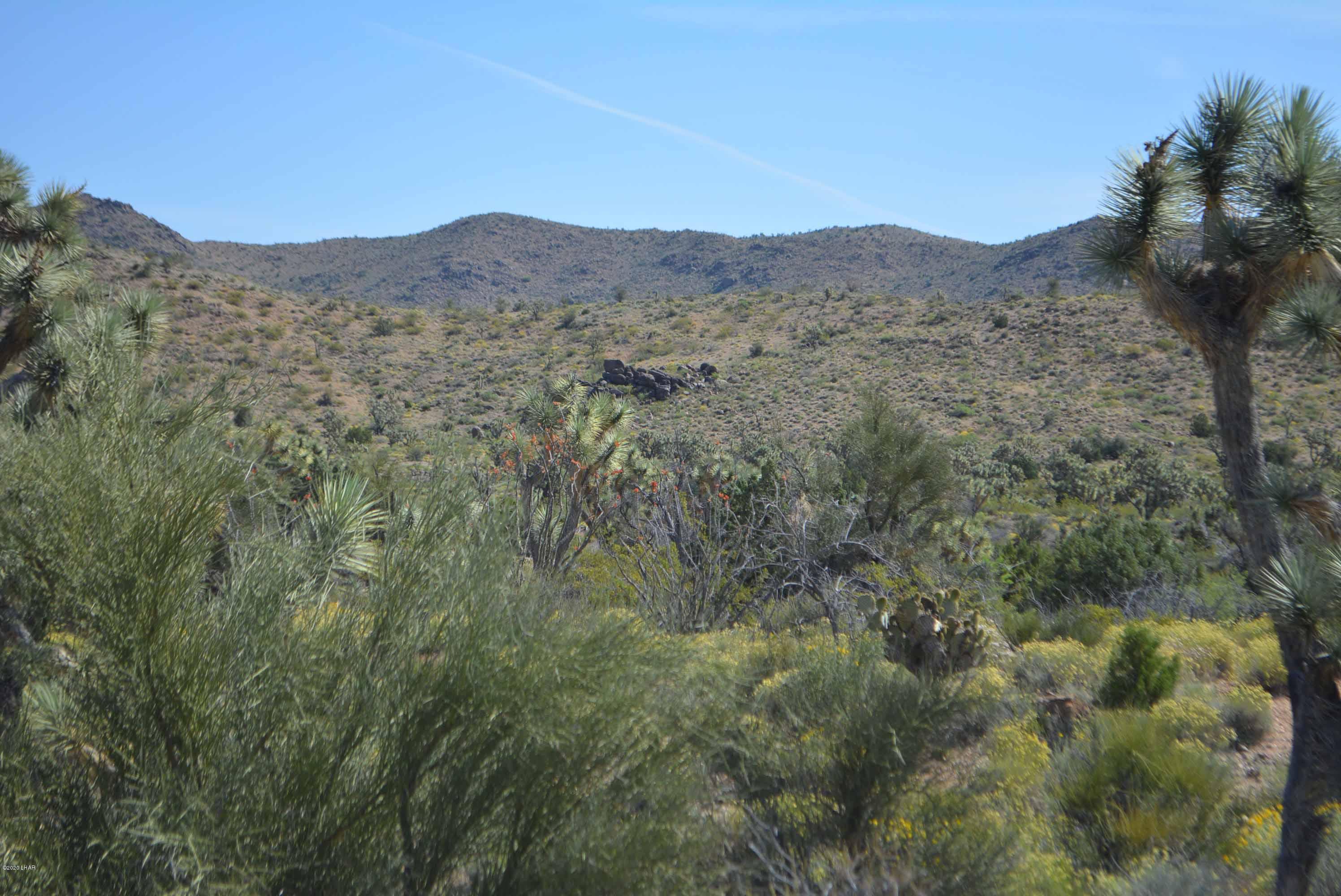 Lot 2396 Appaloosa Road Yucca, AZ 86438 - Photo 10 of 48 DSC_0722
