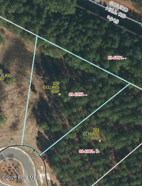 328 Cellars Way Wallace, NC 28466 - Photo 26 of 26 GIS Aerial