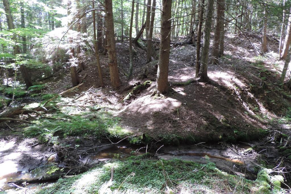 0 Neil's Point Road Harpswell, ME 04079 - Photo 7 of 11 Natural ravine