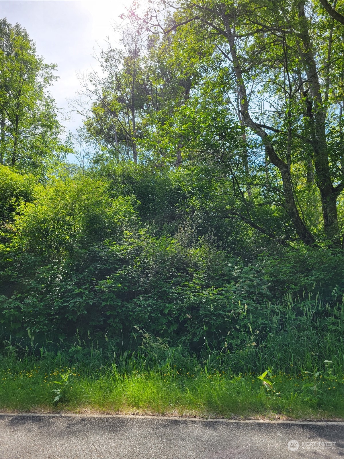 a view of outdoor space and yard