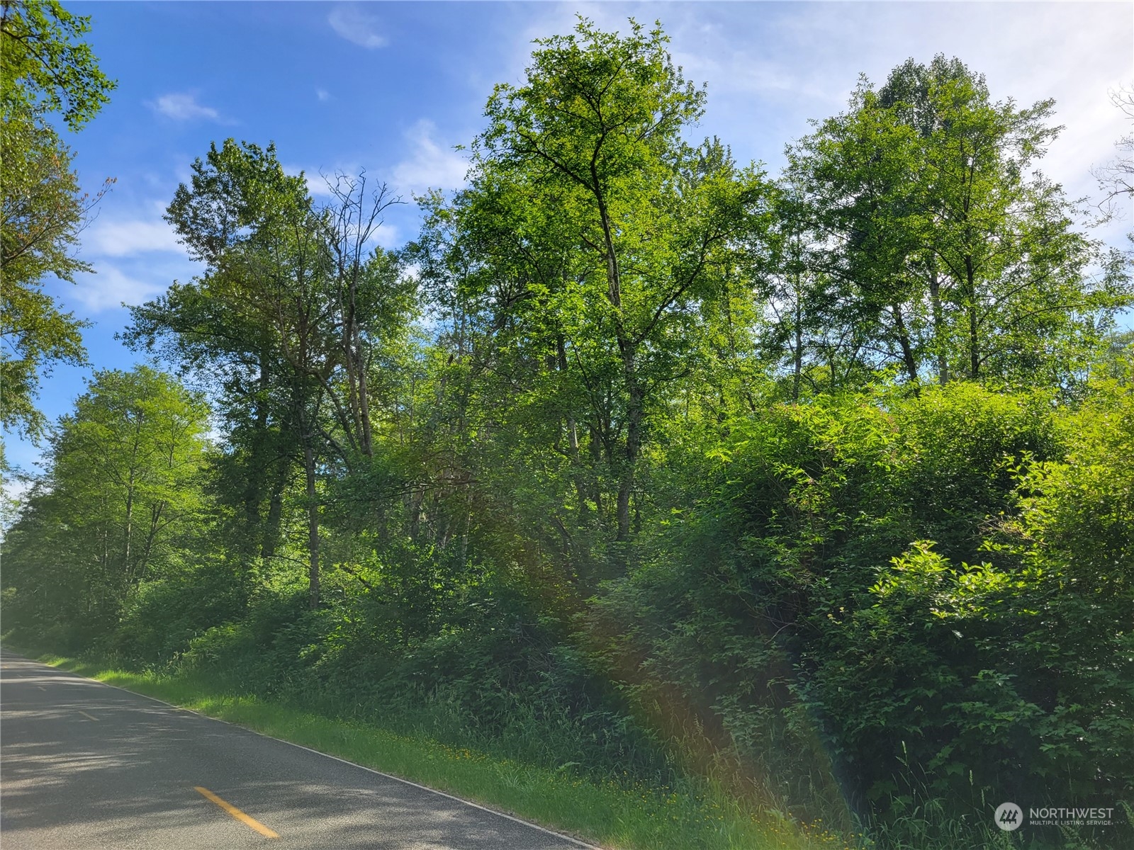 0 Chief Martin Road Bellingham, WA 98226 - Photo 3 of 7 a view of a forest