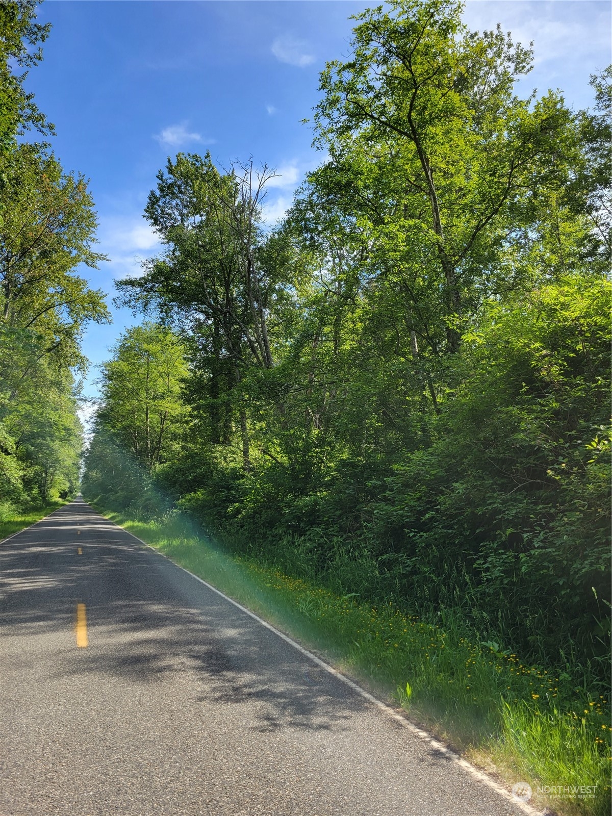 0 Chief Martin Road Bellingham, WA 98226 - Photo 5 of 7 a view of path along with green space