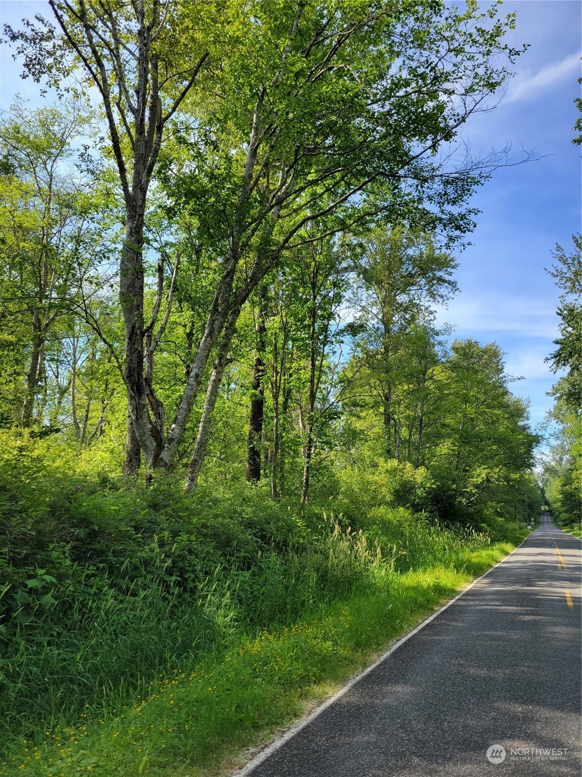 0 Chief Martin Road Bellingham, WA 98226 - Photo 6 of 7 a view of a garden