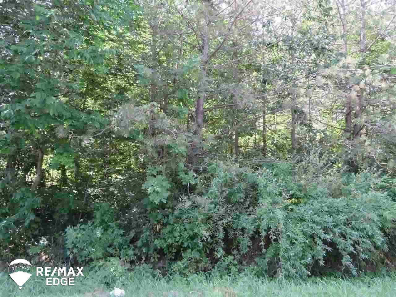 Parcel B East Wilson Road Otisville, MI 48463 - Photo 8 of 8