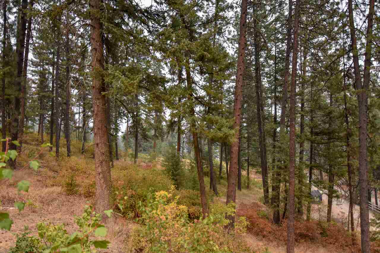 42767 Shore Acres Road Loon Lake, WA 99148 - Photo 17 of 20 Gallery Image 17