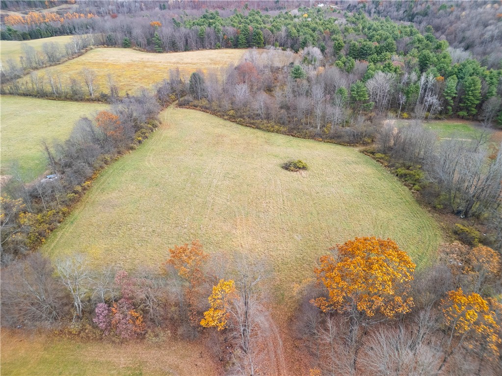 3444 County Route 2 Addison, NY 14801 - Photo 6 of 25