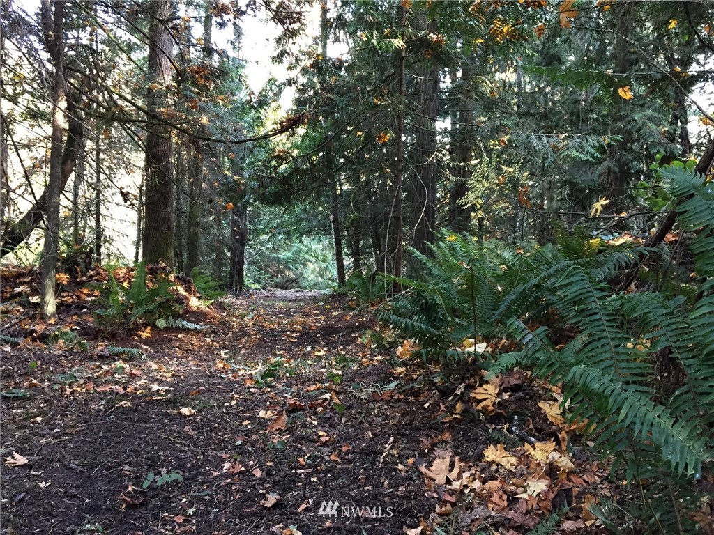9999 Johnson Creek Road Sequim, WA 98382 - Photo 2 of 17