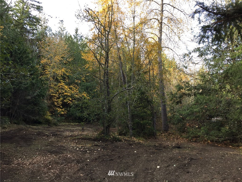 9999 Johnson Creek Road Sequim, WA 98382 - Photo 11 of 17