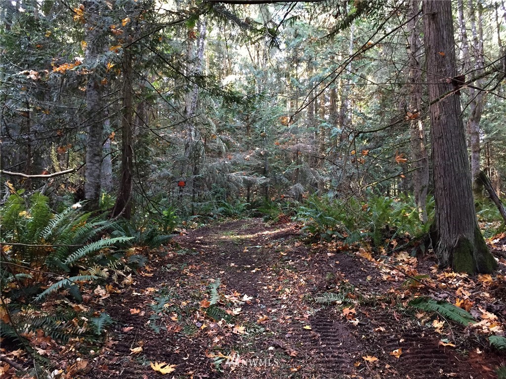 9999 Johnson Creek Road Sequim, WA 98382 - Photo 12 of 17