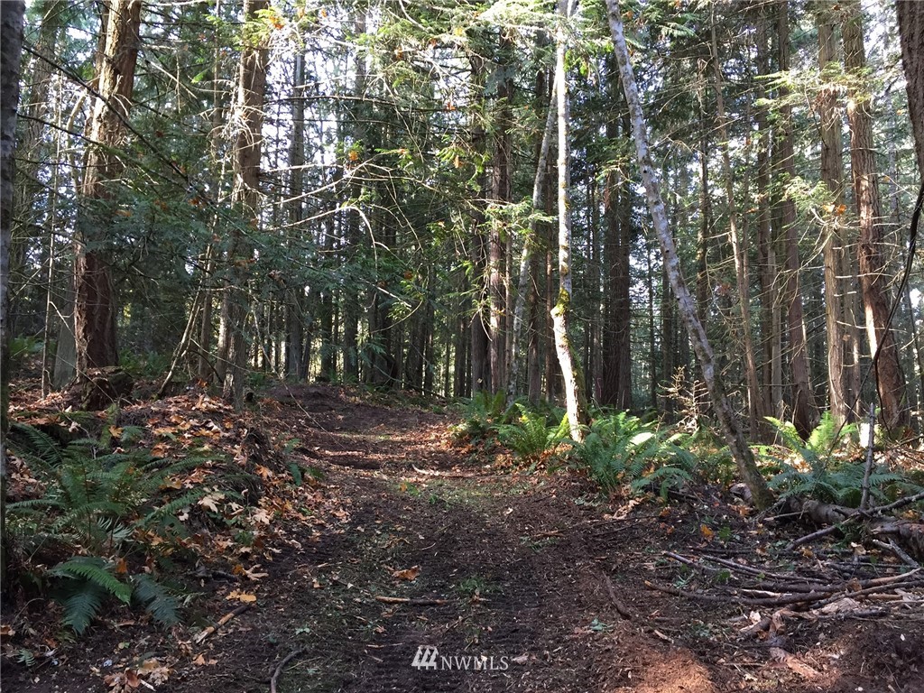 9999 Johnson Creek Road Sequim, WA 98382 - Photo 13 of 17