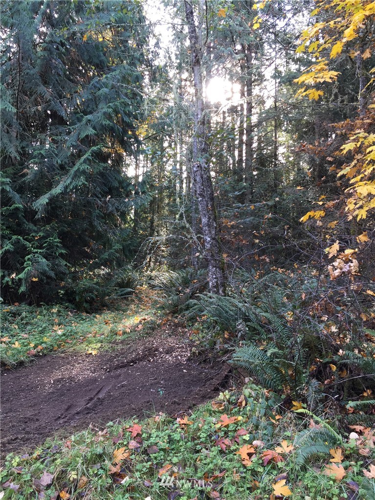 9999 Johnson Creek Road Sequim, WA 98382 - Photo 14 of 17