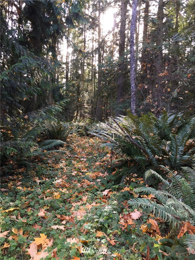 9999 Johnson Creek Road Sequim, WA 98382 - Photo 15 of 17