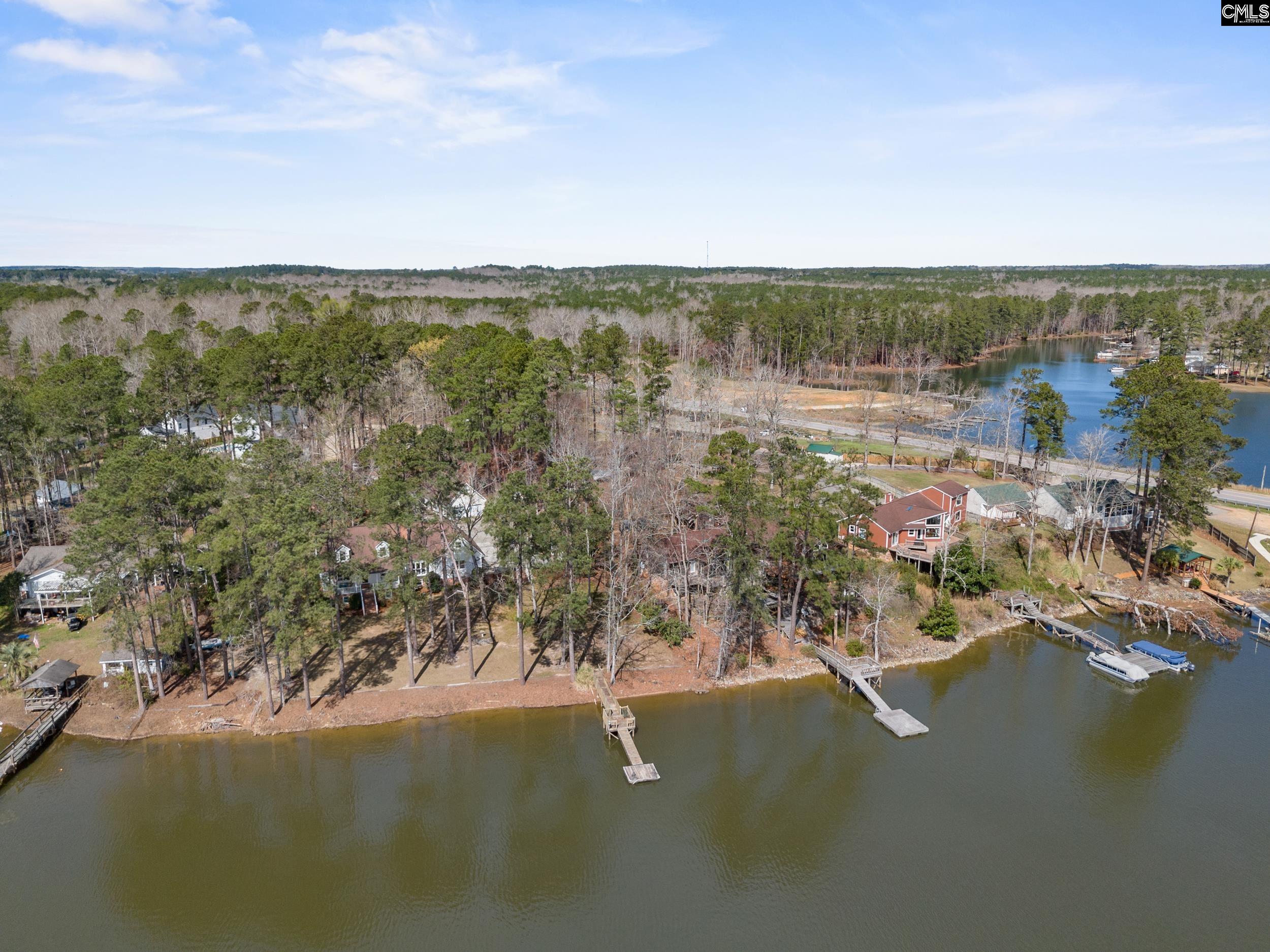 115 Rocky Ridge Road Leesville, SC 29070 - Photo 50 of 51 an aerial view of residential houses with outdoor space and lake view