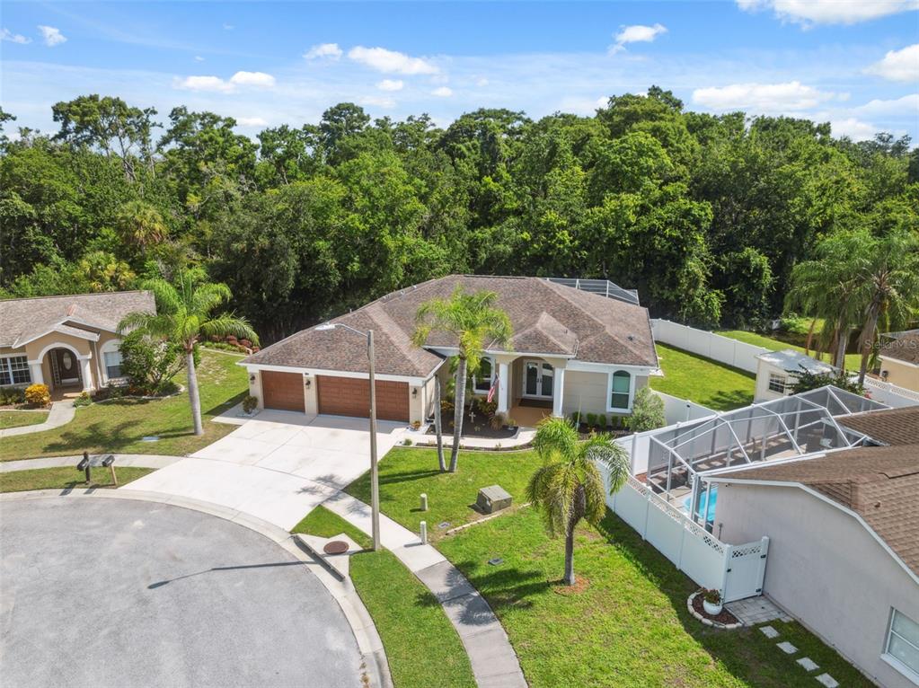 8125 Setters Point Drive New Port Richey, FL 34653 - Photo 29 of 58 Aerial View
