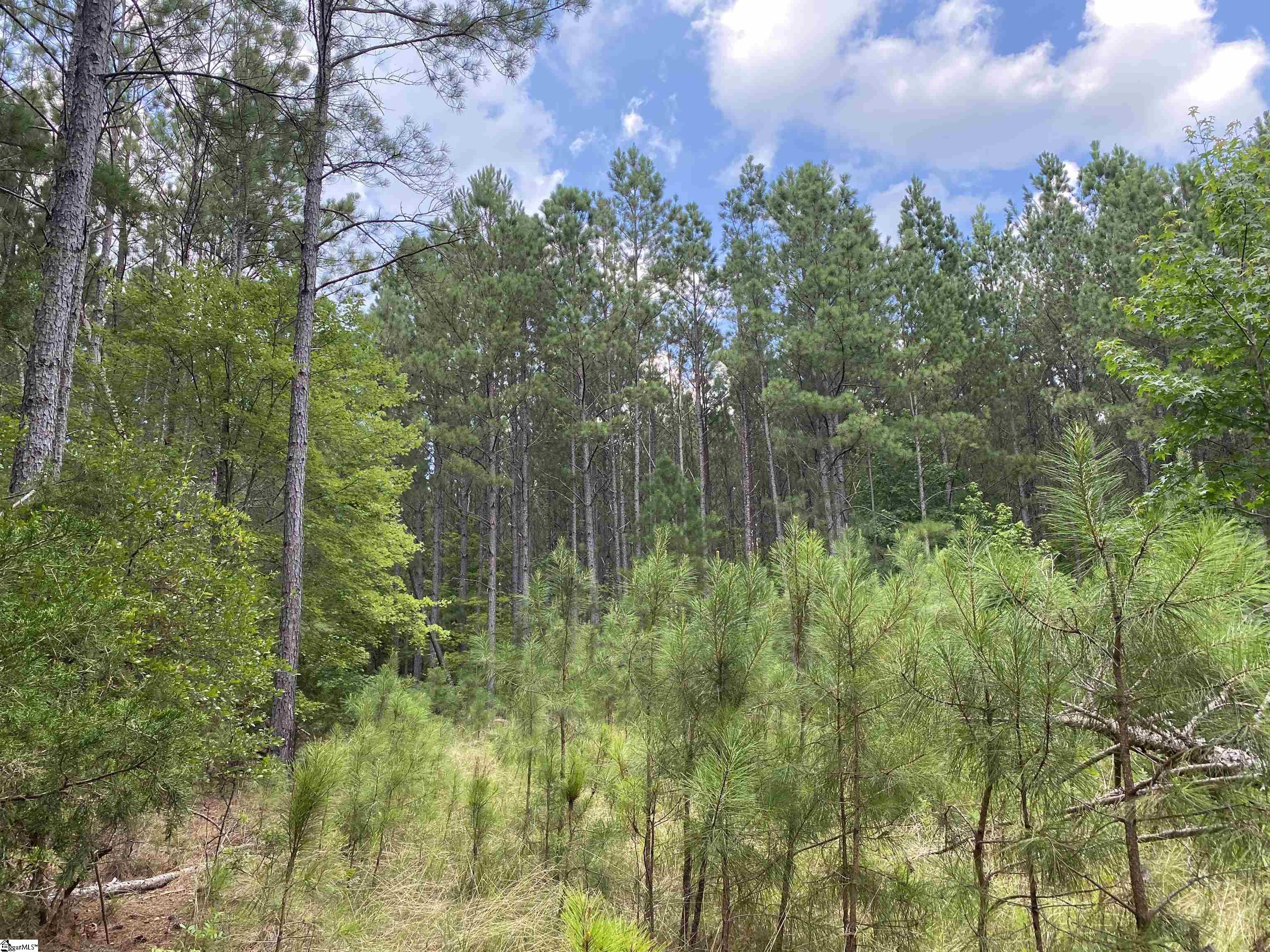 0 Indian Creek Road Clinton, SC 29325 - Photo 13 of 28 Gallery Image 13