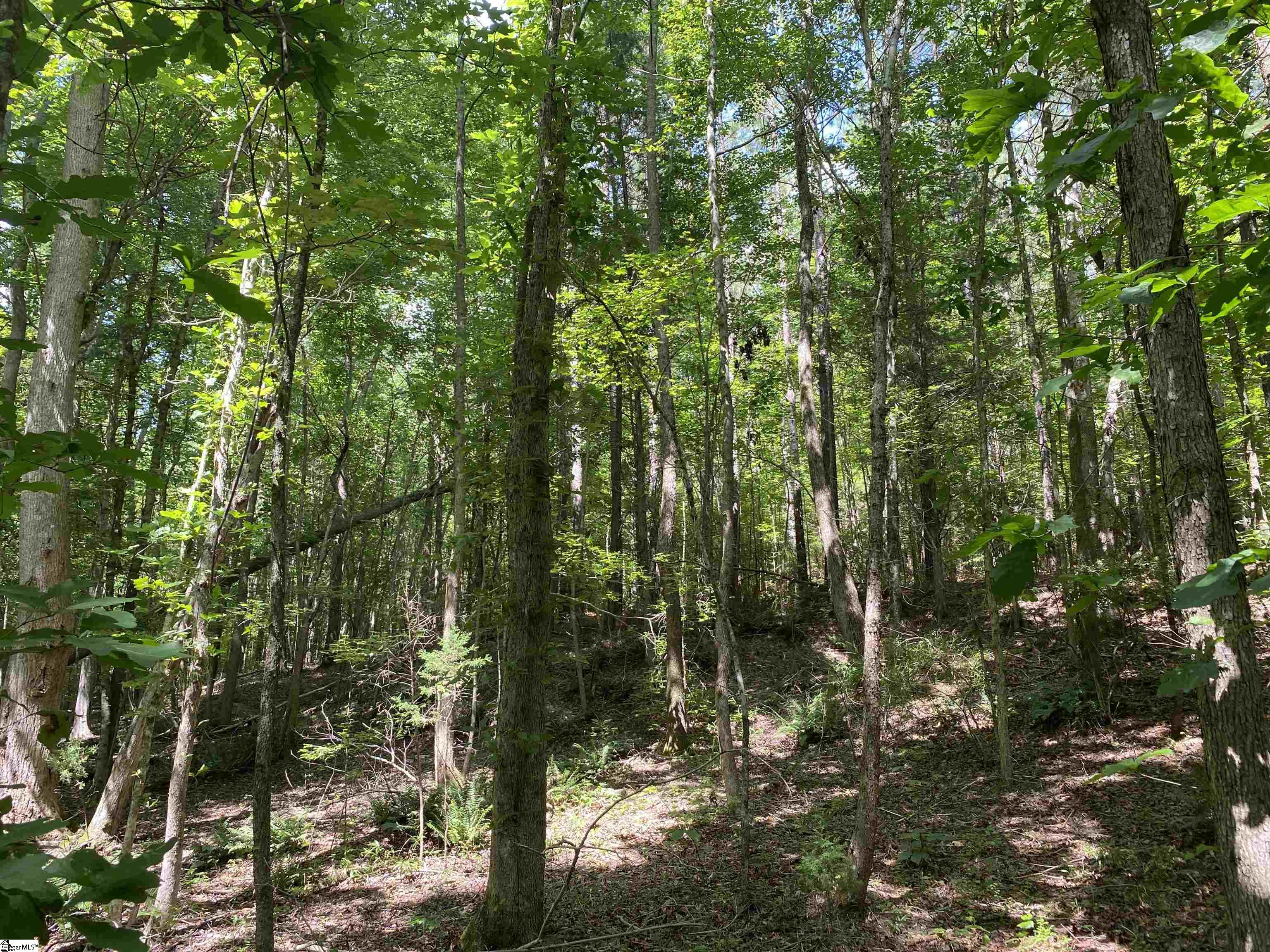 0 Indian Creek Road Clinton, SC 29325 - Photo 17 of 28 Gallery Image 17