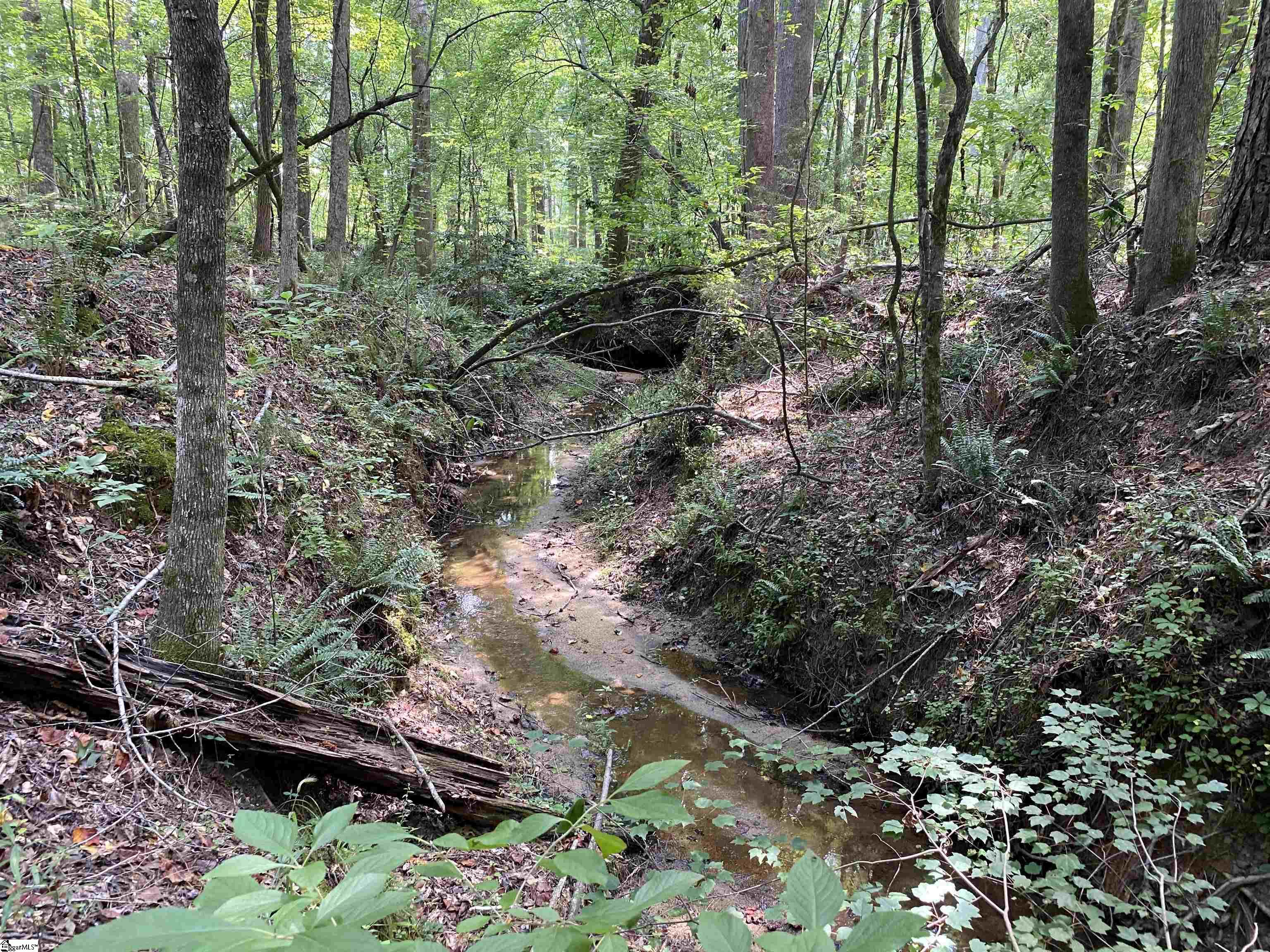 0 Indian Creek Road Clinton, SC 29325 - Photo 18 of 28 Gallery Image 18