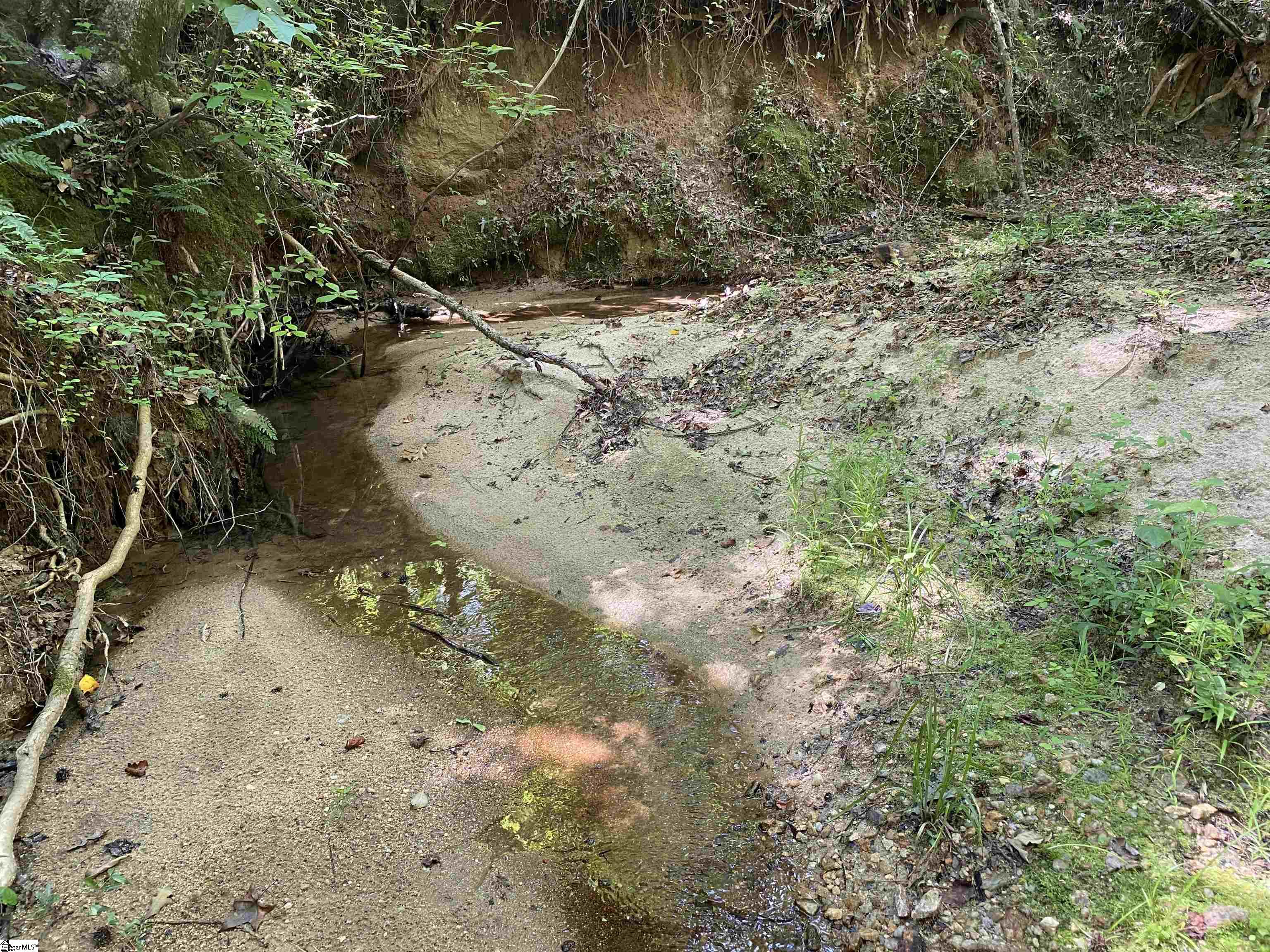 0 Indian Creek Road Clinton, SC 29325 - Photo 23 of 28 Gallery Image 23