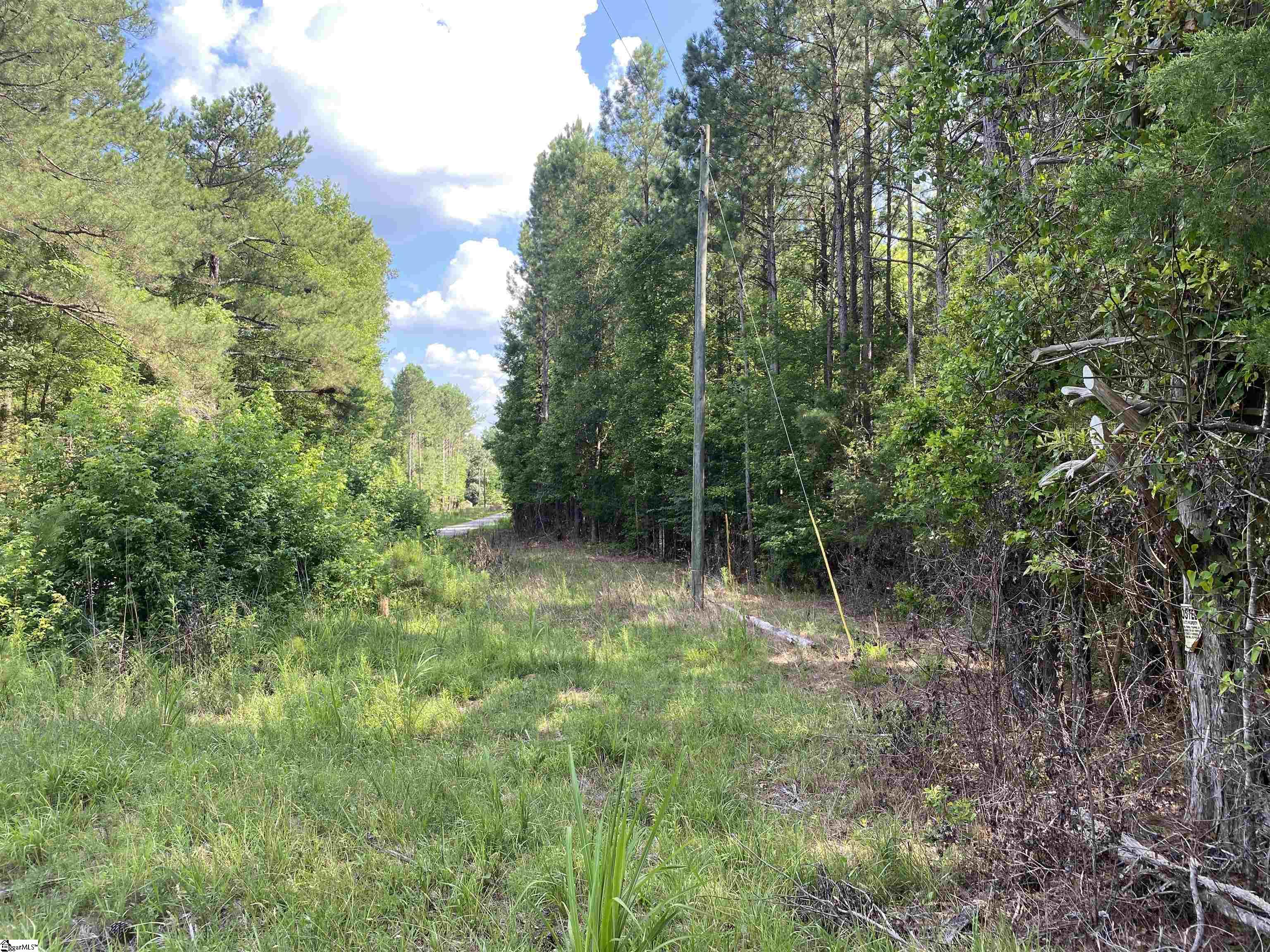 0 Indian Creek Road Clinton, SC 29325 - Photo 26 of 28 Gallery Image 26