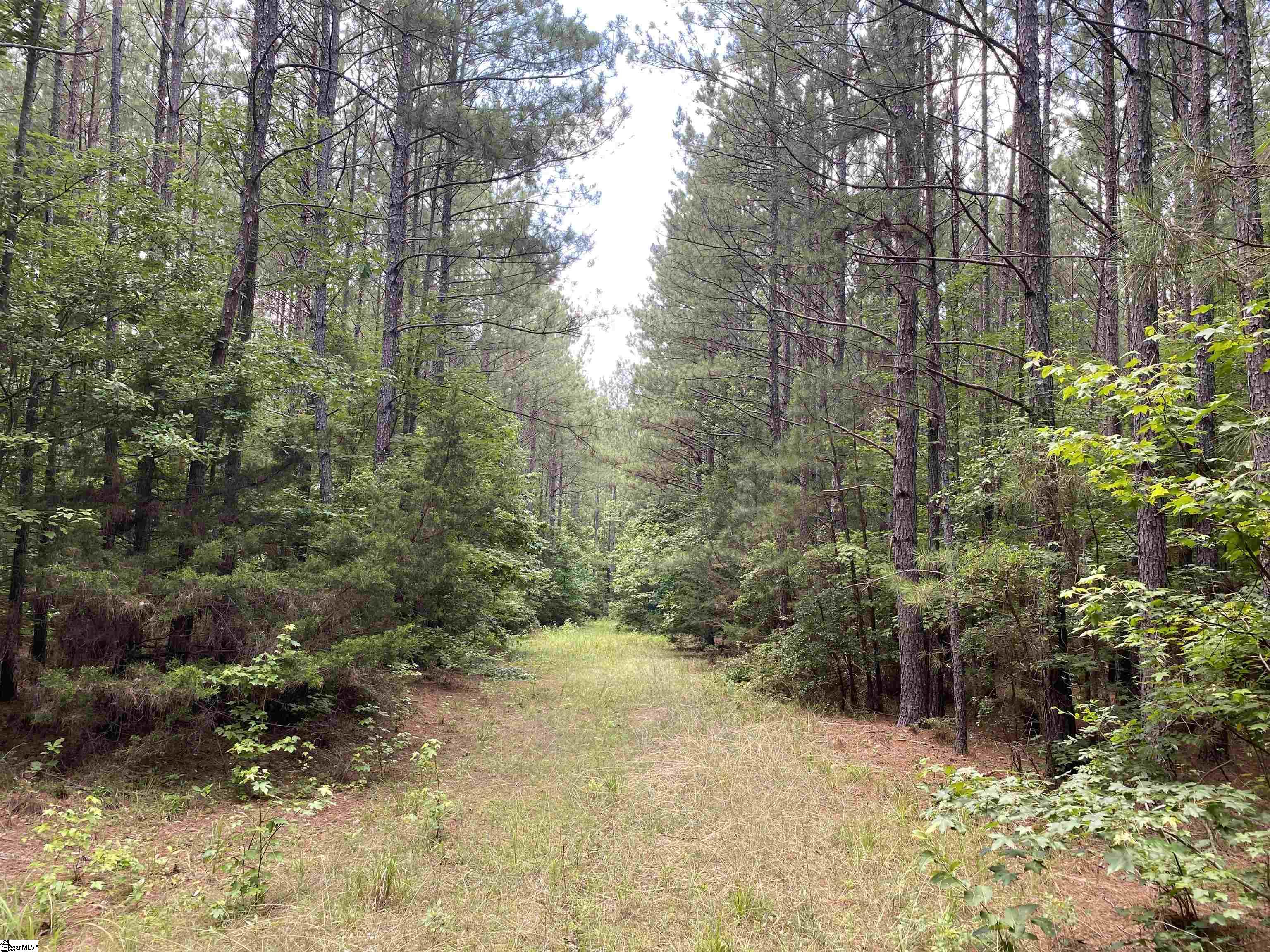 0 Indian Creek Road Clinton, SC 29325 - Photo 8 of 28 Gallery Image 8