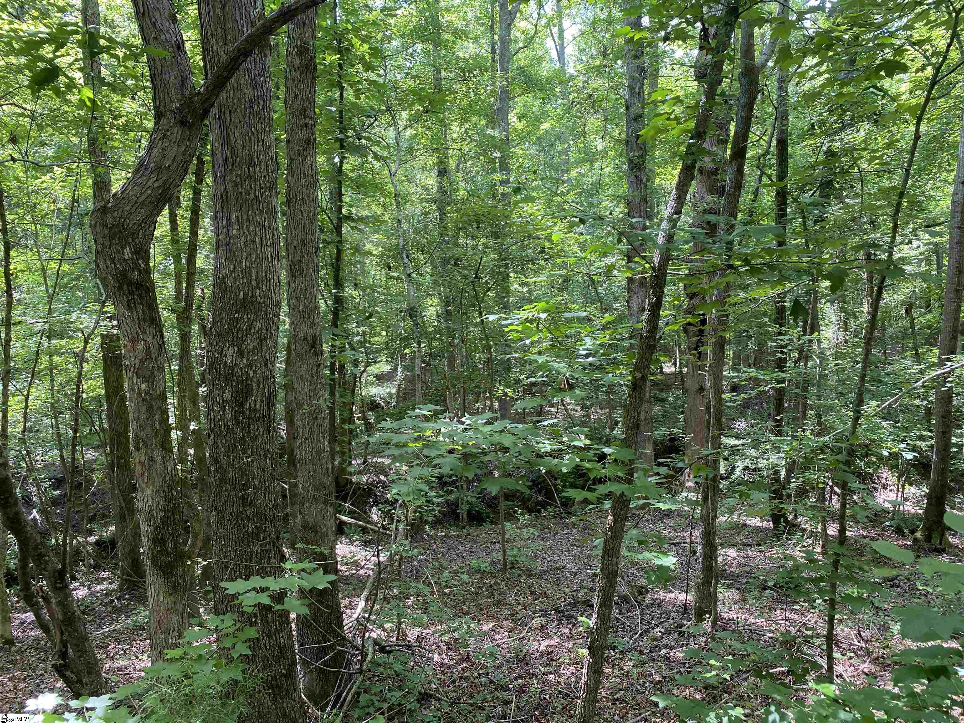 0 Indian Creek Road Clinton, SC 29325 - Photo 9 of 28 Gallery Image 9