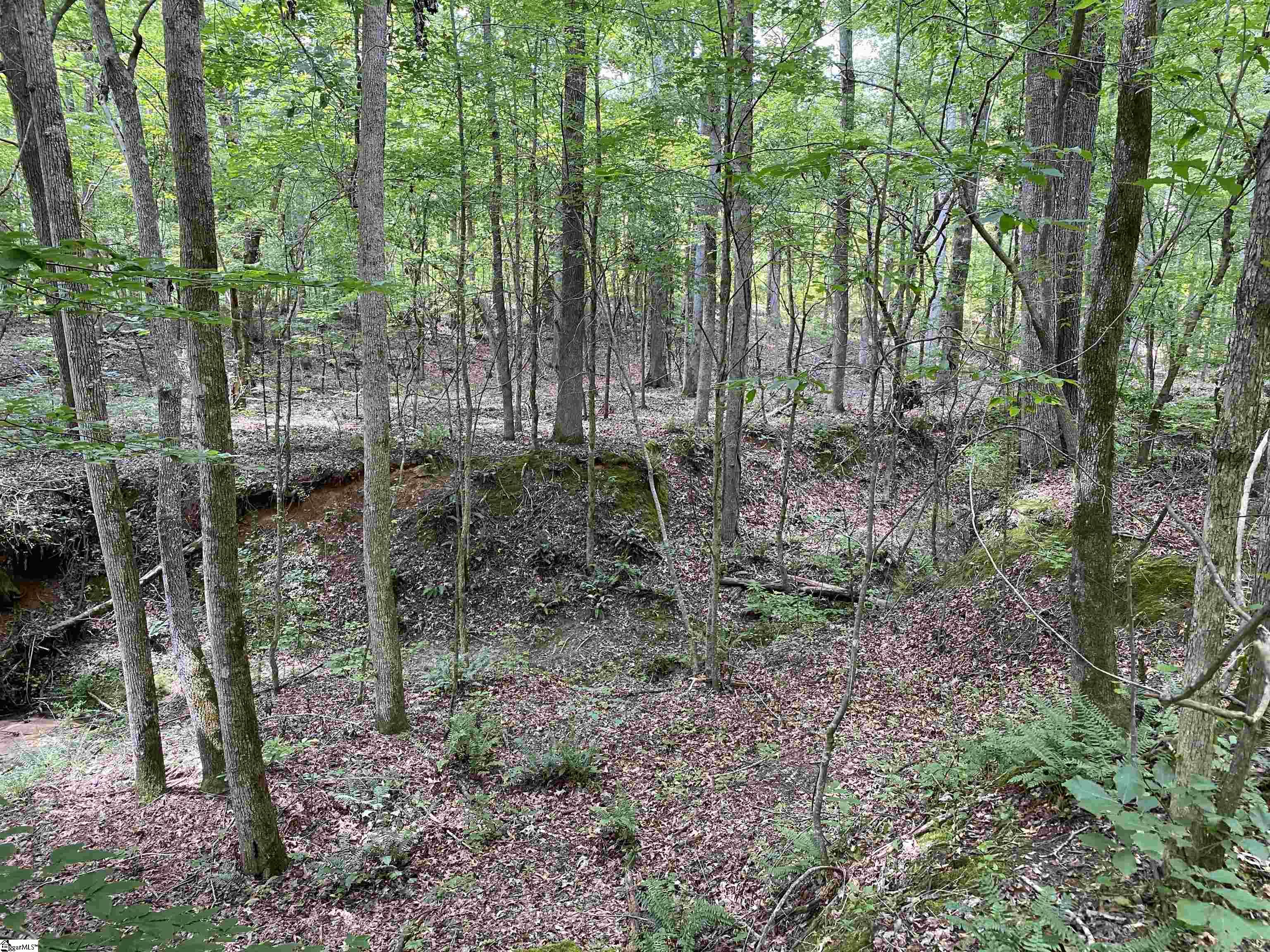 0 Indian Creek Road Clinton, SC 29325 - Photo 10 of 28 Gallery Image 10