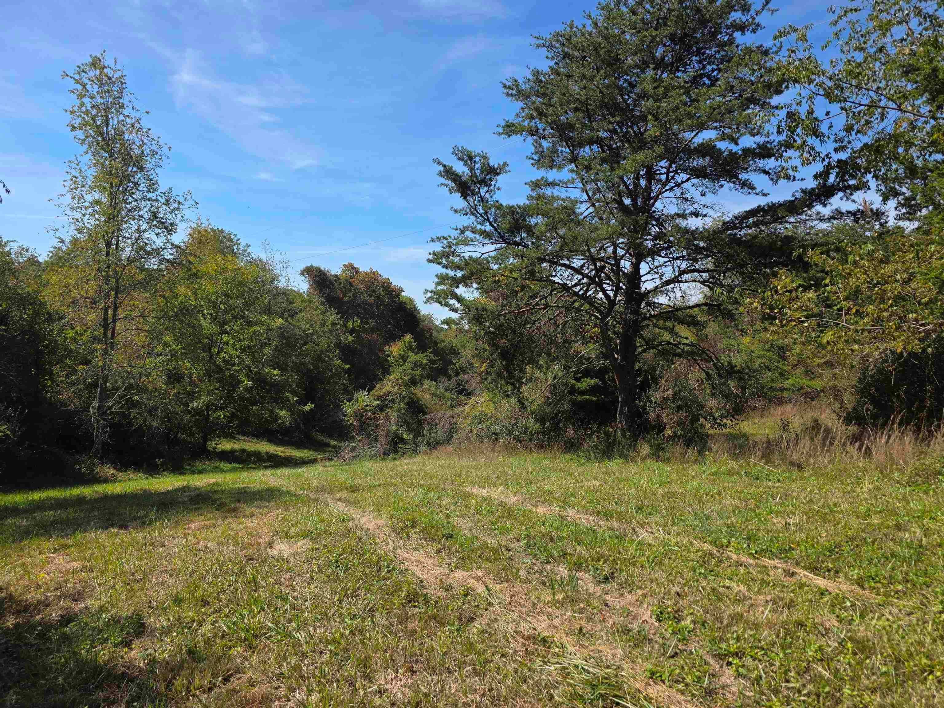 Tbd Ridge Road Northeast Pilot, VA 24138 - Photo 3 of 26 Gallery Image 3