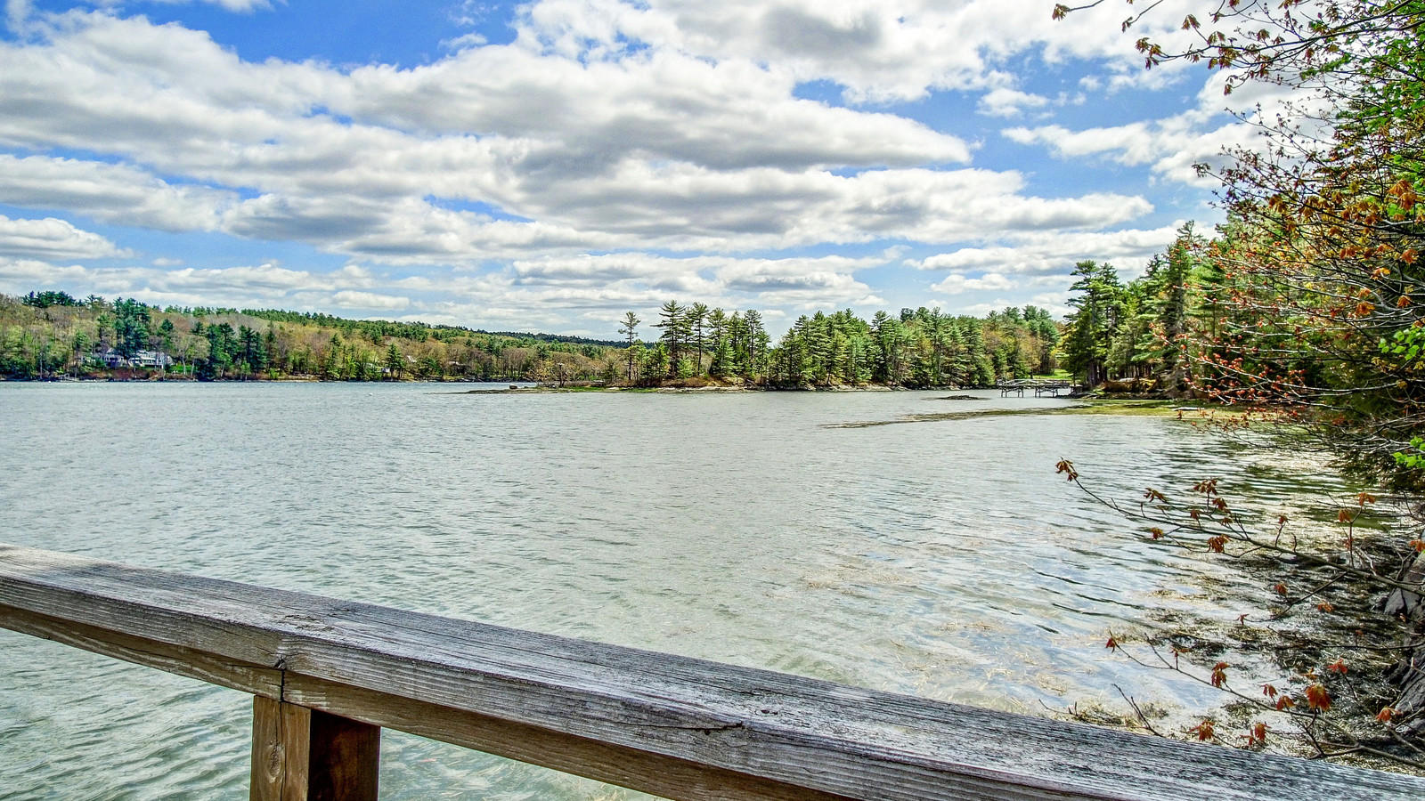 157 North End Road Westport Island, ME 04578 - Photo 13 of 47 14_DJI_0506_07_08_09_10_DxO_mls