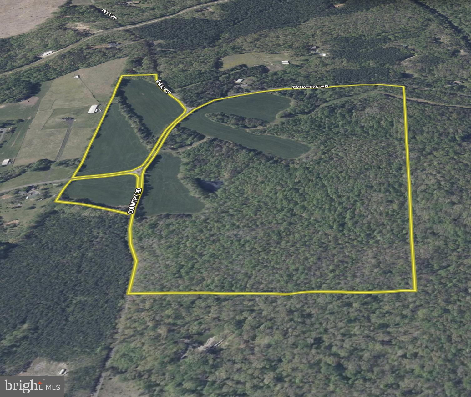 0 Trivette Road Beaverdam, VA 23015 - Photo 43 of 45