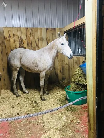 $1,350,000 | 4825 North 123rd Street, Kansas City, KS 66109