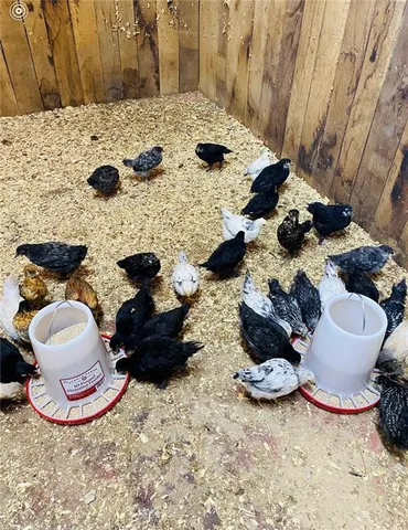 $1,350,000 | 4825 North 123rd Street, Kansas City, KS 66109