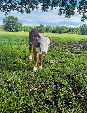 $1,350,000 | 4825 North 123rd Street, Kansas City, KS 66109