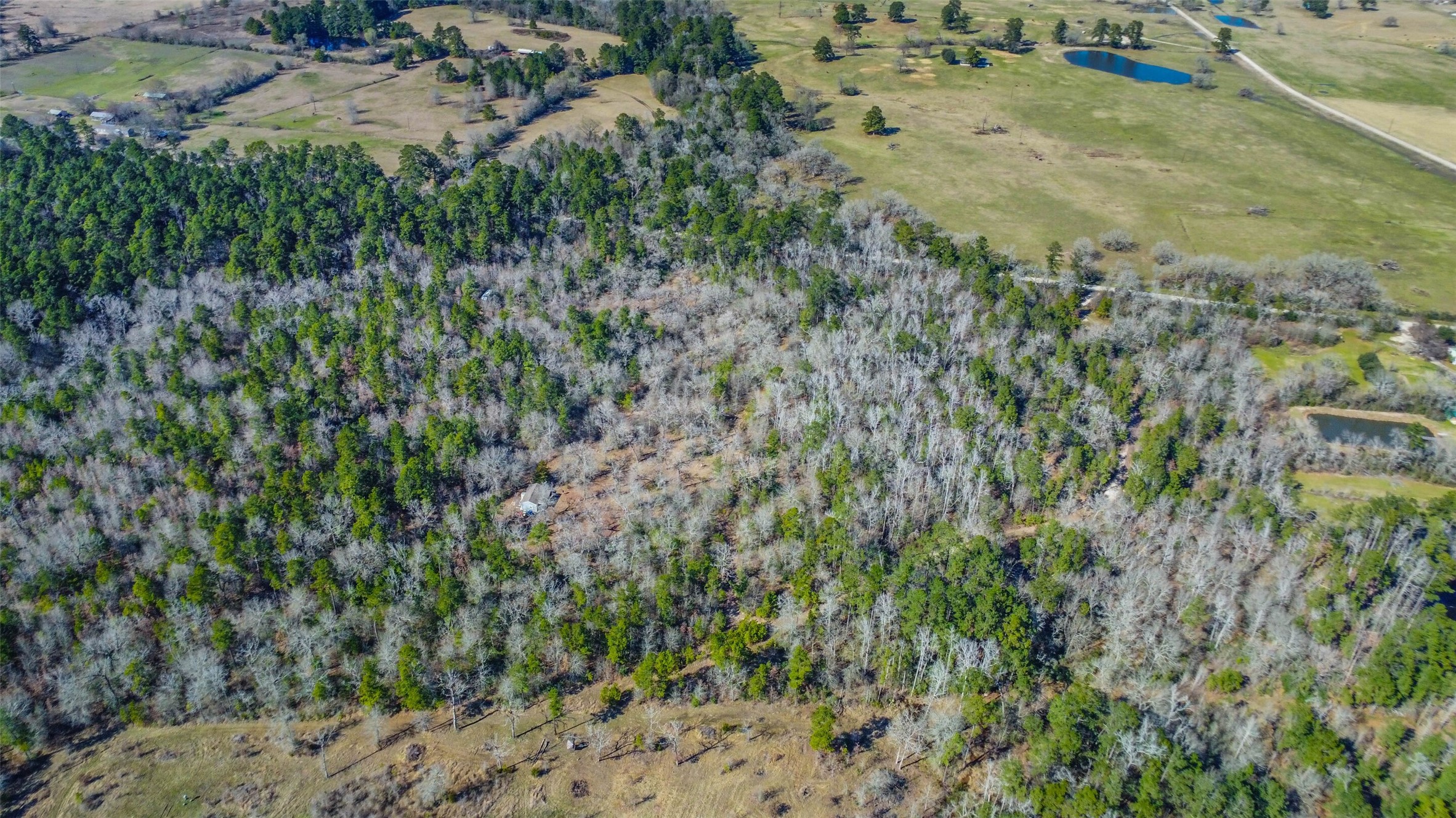 35 Old Sign Road Midway, TX 75852 - Photo 2 of 49 21 Beautiful acres ready for whatever you want to do.