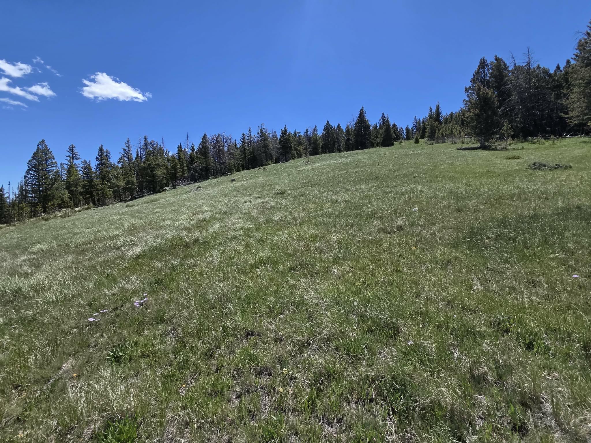 3 Starry Way Dubois, WY 82513 - Photo 12 of 30