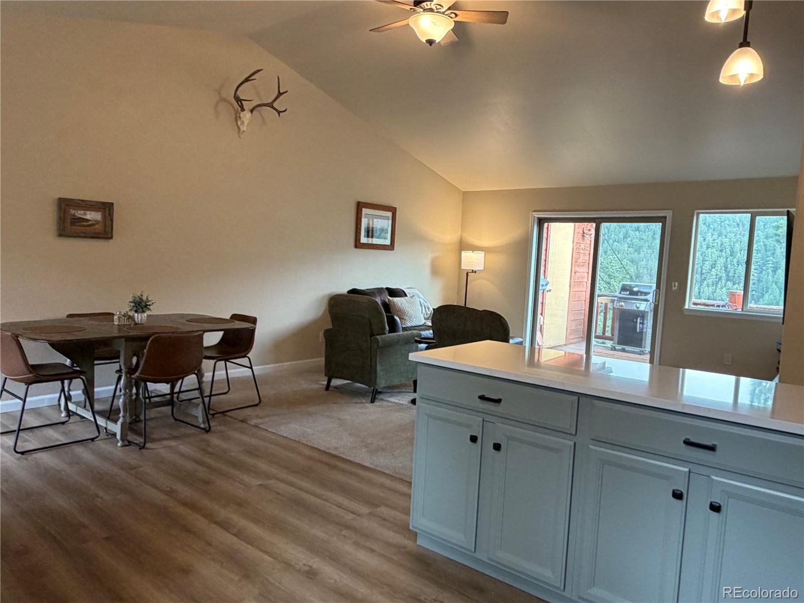 303 Virginia Road, Unit E Bailey, CO 80421 - Photo 8 of 27
