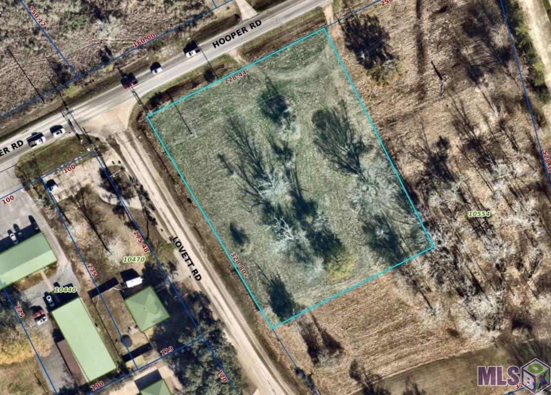 10554 Hooper Road Central, LA 70818 - Photo 5 of 5