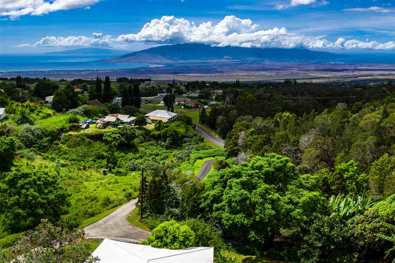 5321 Lower Kula Road, Unit 2 Kula, HI 96790 - Photo 8 of 30 a view of a houses with a yard