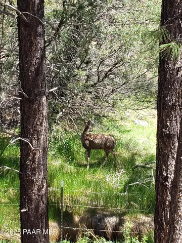 $119,900 | 219 Midway, Prescott, AZ 86305