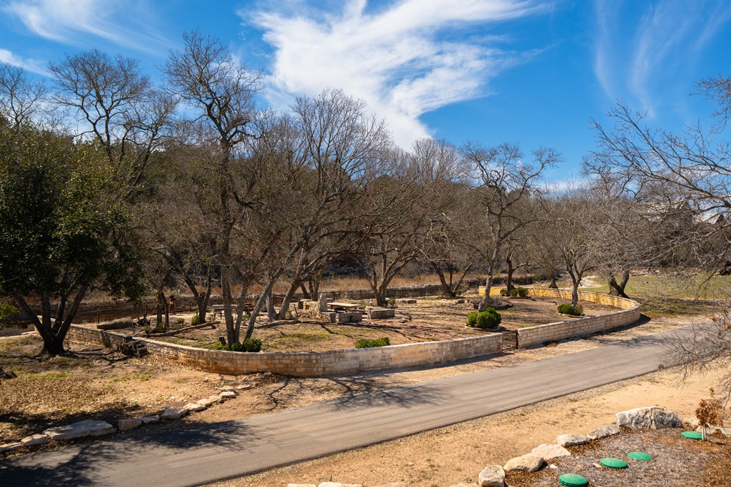 Lot 72 West Fallow Drive Harper, TX 78631 - Photo 19 of 30 a view of a fire pit with trees
