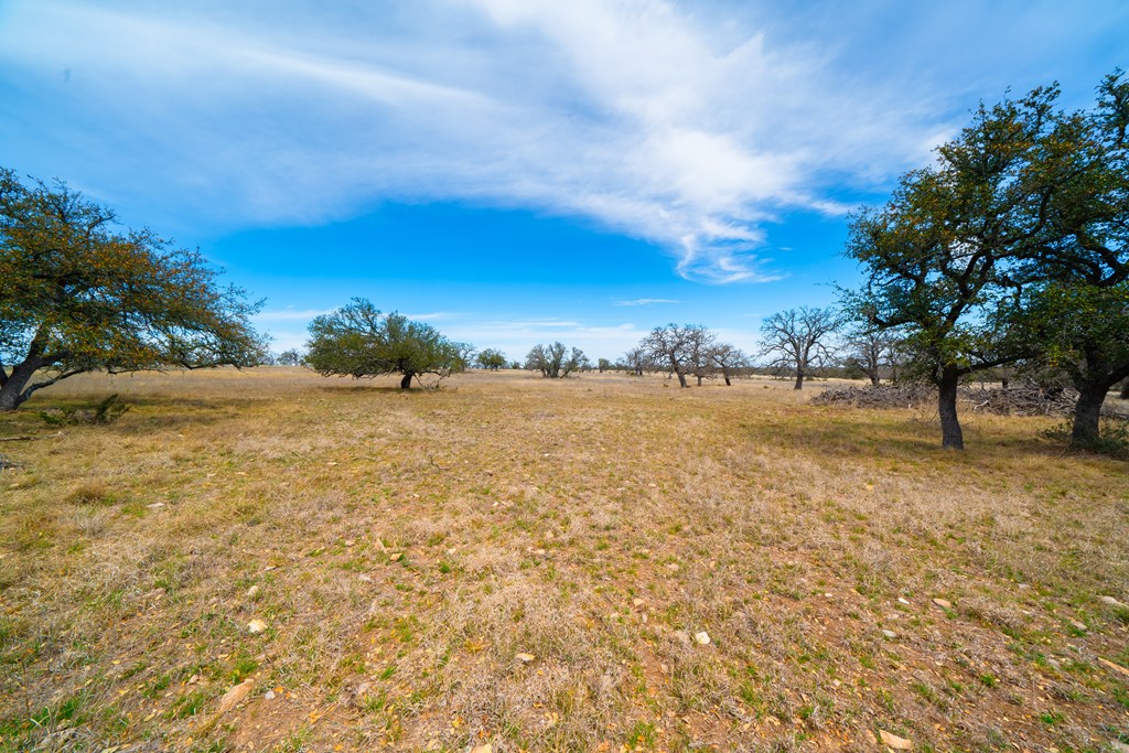 Lot 72 West Fallow Drive Harper, TX 78631 - Photo 25 of 30