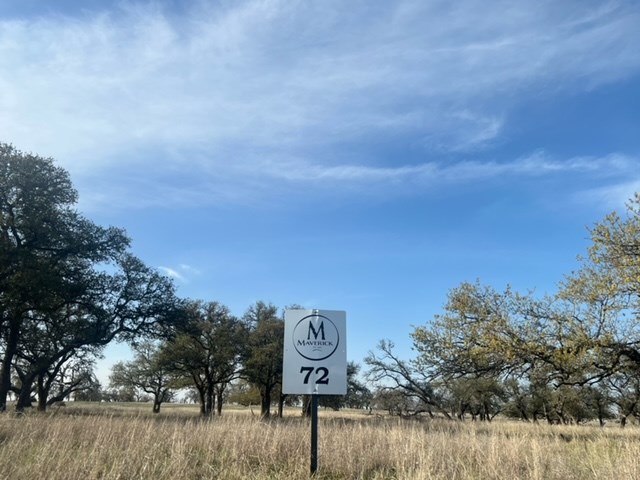 Lot 72 West Fallow Drive Harper, TX 78631 - Photo 27 of 30 a view of a street sign and a trees