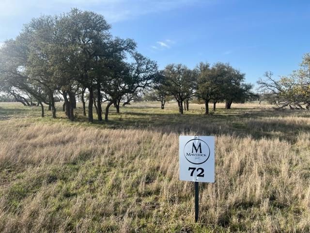 Lot 72 West Fallow Drive Harper, TX 78631 - Photo 5 of 30 a view of a park with large trees