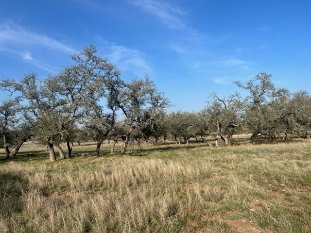 Lot 72 West Fallow Drive Harper, TX 78631 - Photo 7 of 30 a view of a yard with wooden fence