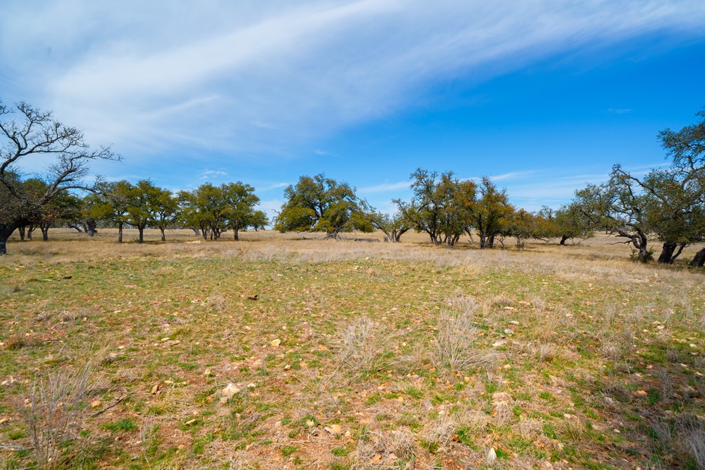 Lot 72 West Fallow Drive Harper, TX 78631 - Photo 8 of 30 a view of a field with trees in the background