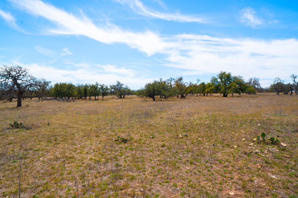 Lot 72 West Fallow Drive Harper, TX 78631 - Photo 9 of 30 a view of lake view and mountain view
