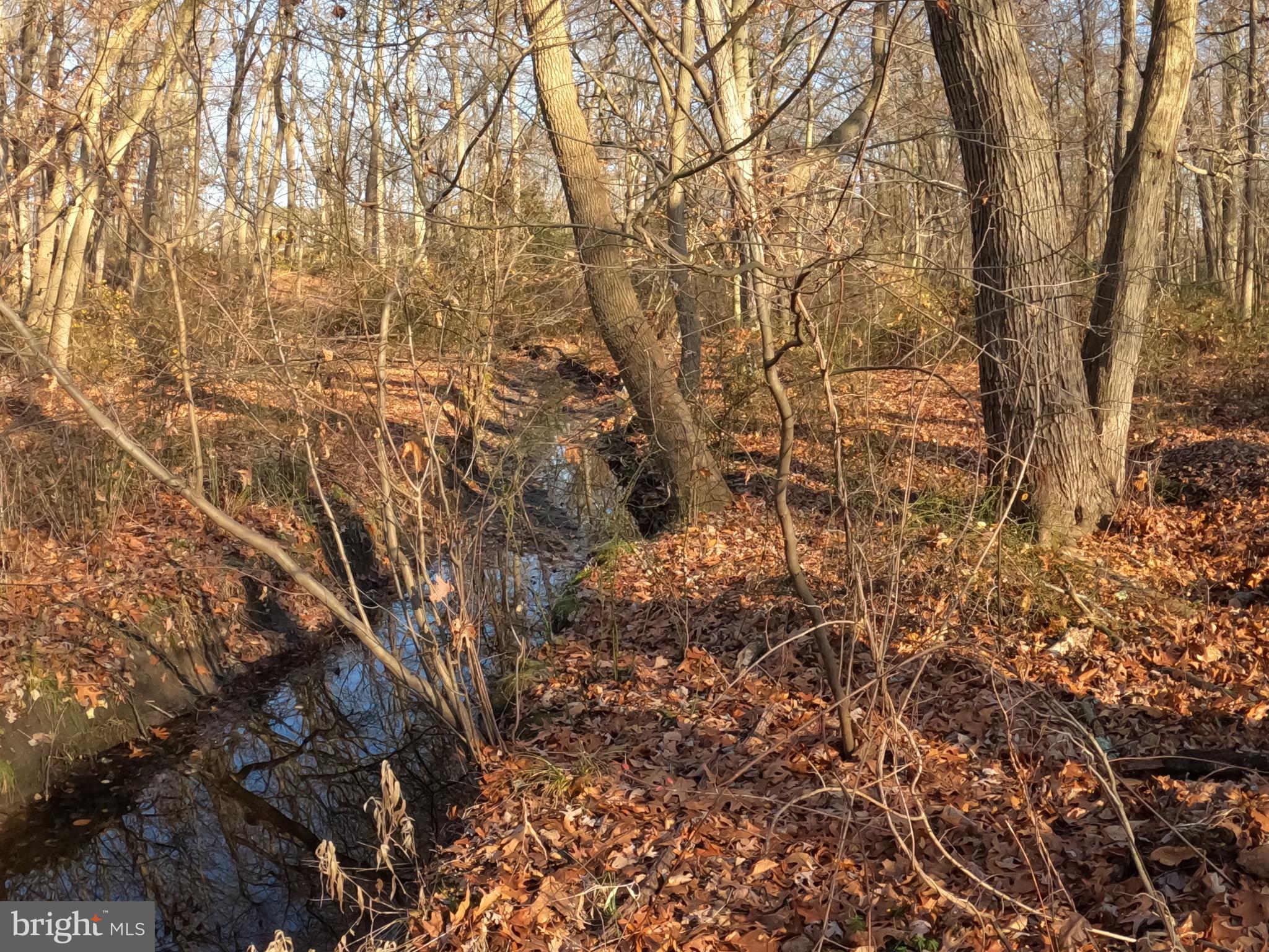 2931 Marne Highway Mount Laurel, NJ 08054 - Photo 41 of 47